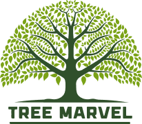 Công ty Cổ phần nội thất Tree Marvel